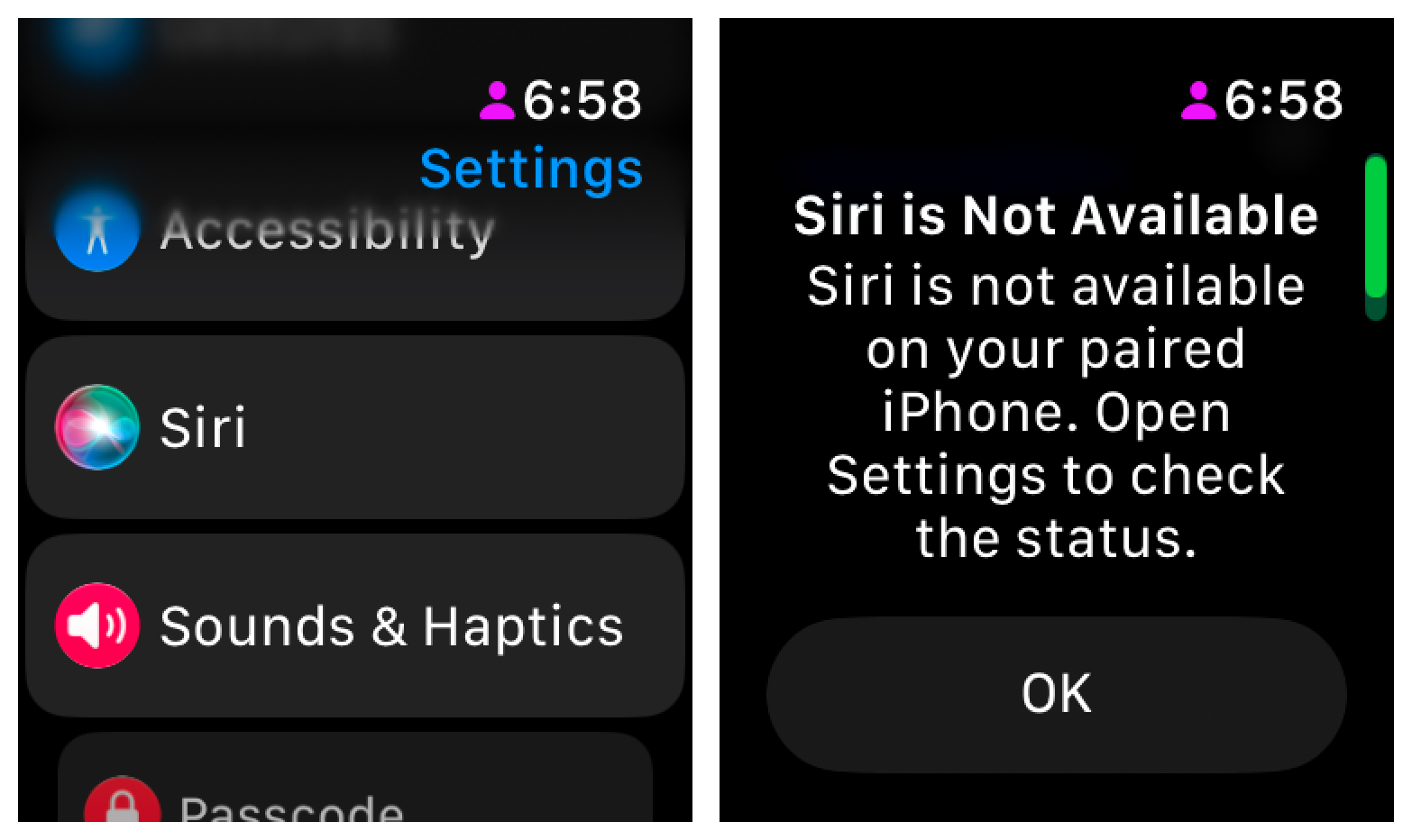 国行 Apple Watch 上 Siri App 无法使用的提示